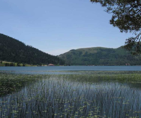 Dr. Emine Gündoğmuş ile Abant – Mudurnu – Göynük